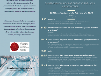 Conferencia en la Cámara de Comptos de Navarra (Tribunal de Cuentas): el impacto social de la pandemia